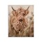 Stupell Industries Curly Haired Highland Cattle Wall Plaque, design by Ashley Bradley